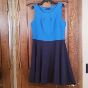 Two Toned Colorblock Dress from the Limited